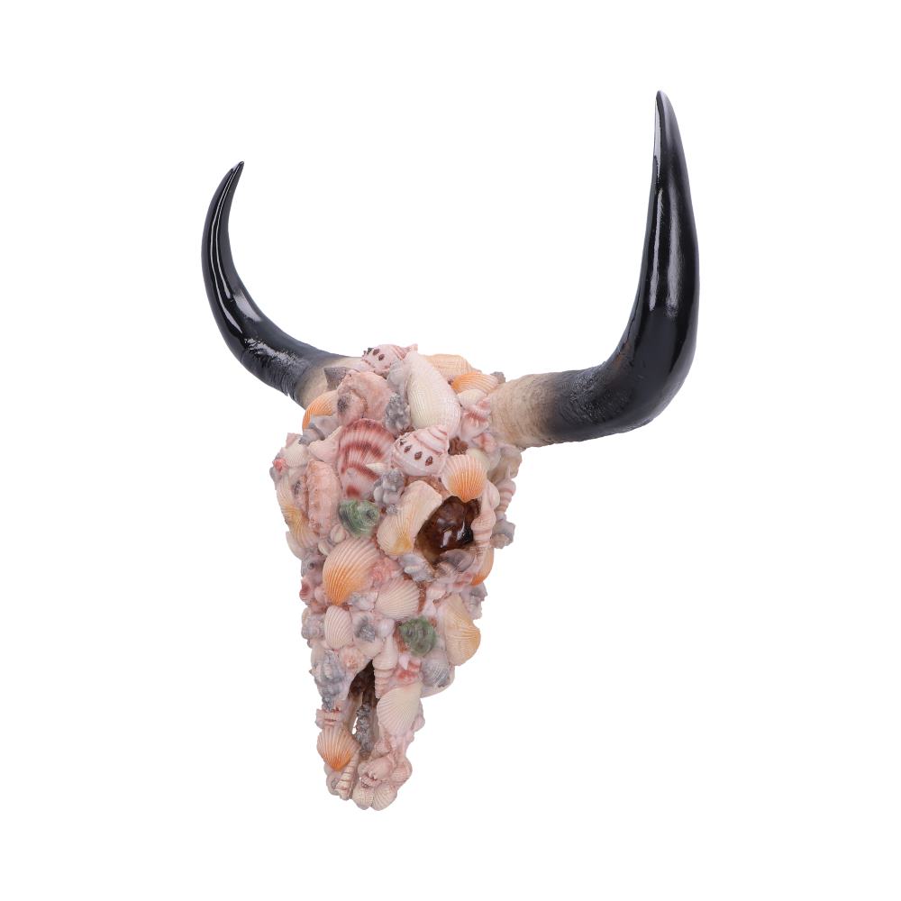 Ocean Crown Skull Ornament 44cm - Shop Wall Hanging Sculptures At Gift Moments - 3