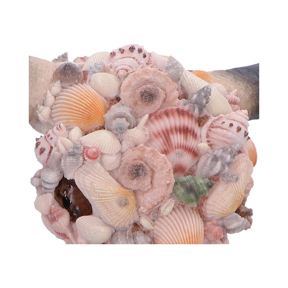 Ocean Crown Skull Ornament 44cm - Shop Wall Hanging Sculptures At Gift Moments - 5