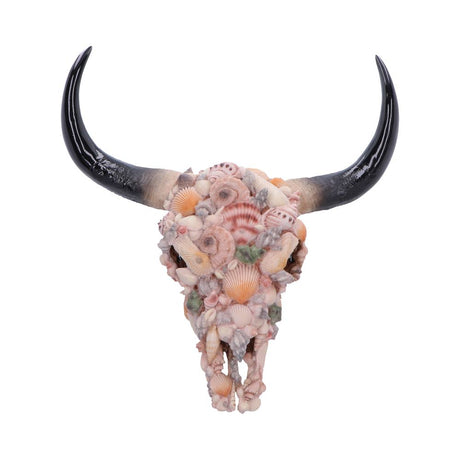Ocean Crown Skull Ornament 44cm - Shop Wall Hanging Sculptures At Gift Moments - 2