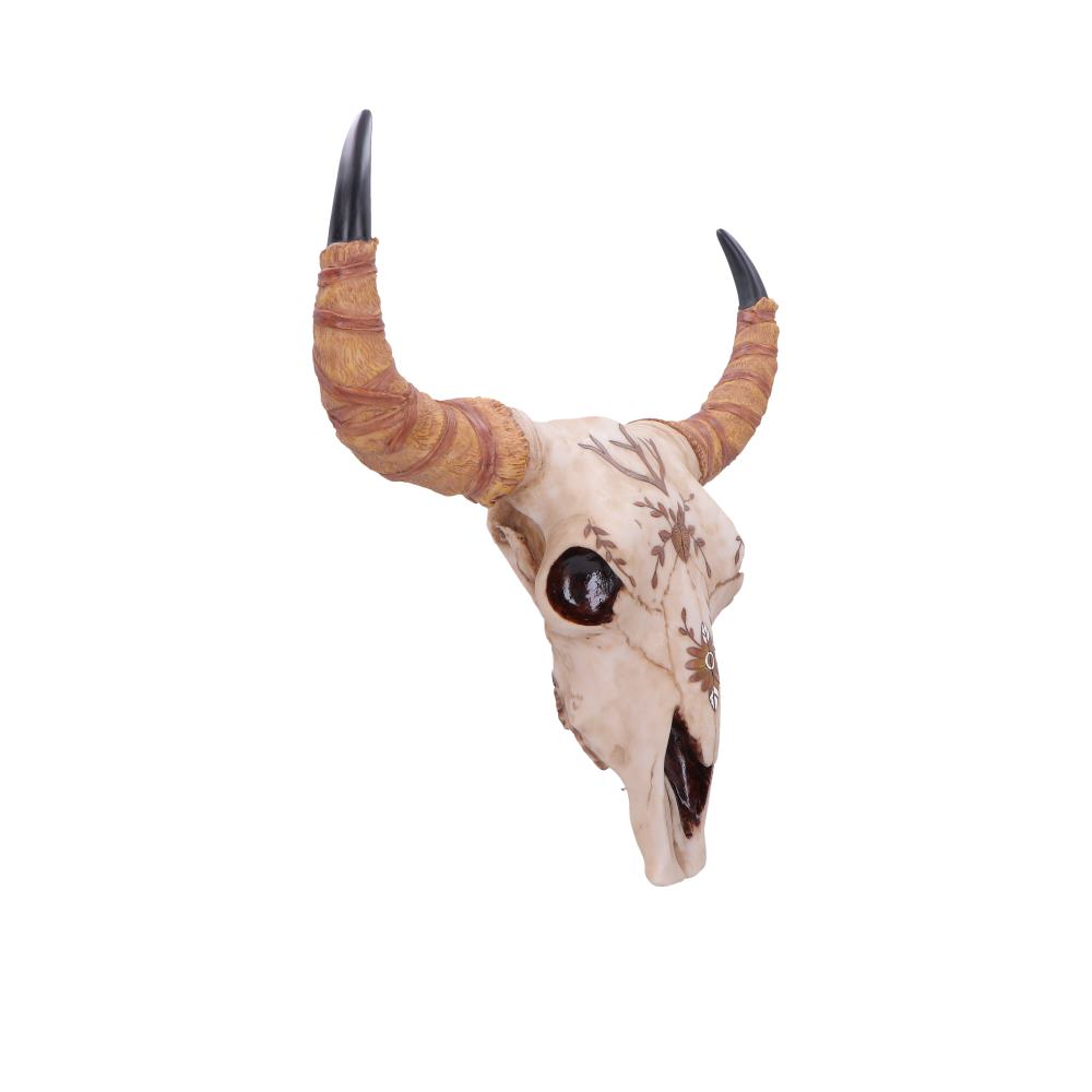 Spirit of the South Crown Skull Ornament 42.5cm - Shop Wall Hanging Sculptures At Gift Moments - 4