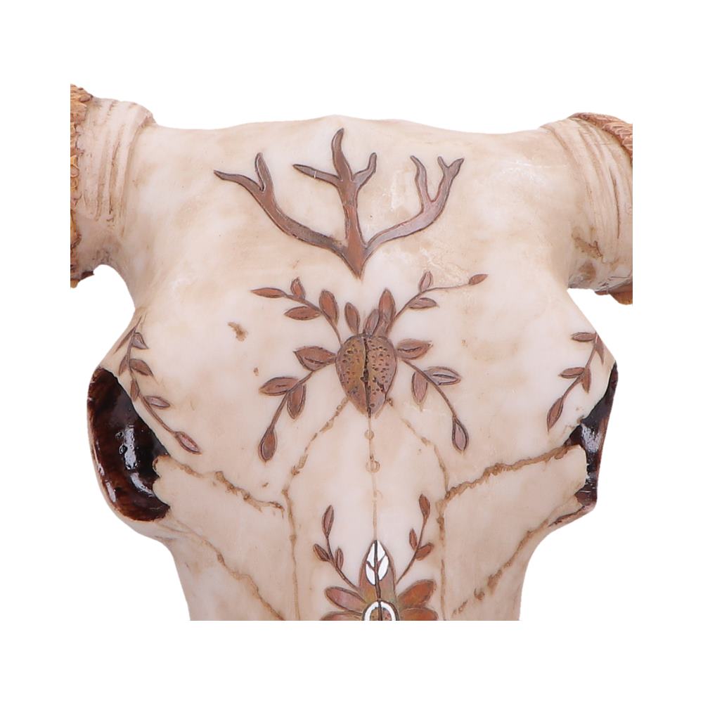 Spirit of the South Crown Skull Ornament 42.5cm - Shop Wall Hanging Sculptures At Gift Moments - 5
