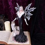 Dark Aura Fairy With Her Grey Wolf Companion 24cm: 1 - Figures & Collectables By Gift Moments