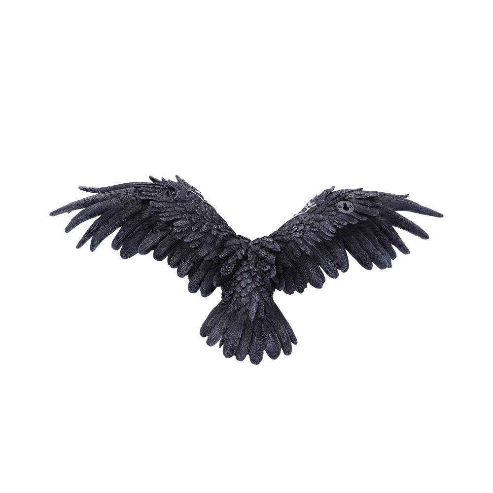 Dark Feather Owl Wall Plaque 55cm: 4 - Wall Hanging Sculptures By Gift Moments