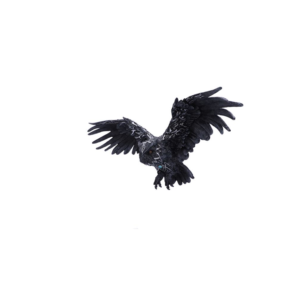Dark Feather Owl Wall Plaque 55cm: 3 - Wall Hanging Sculptures By Gift Moments