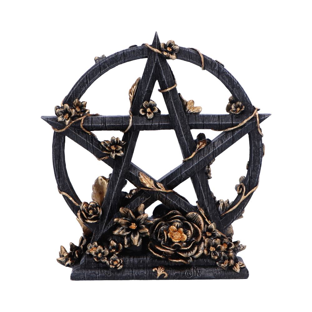Dark Floral Decorative Pentagram Ornament - Shop Figures & Collectables At Gift Moments - 4