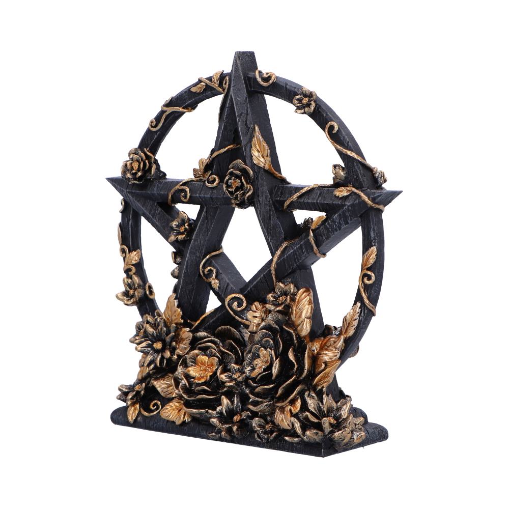 Dark Floral Decorative Pentagram Ornament - Shop Figures & Collectables At Gift Moments - 3