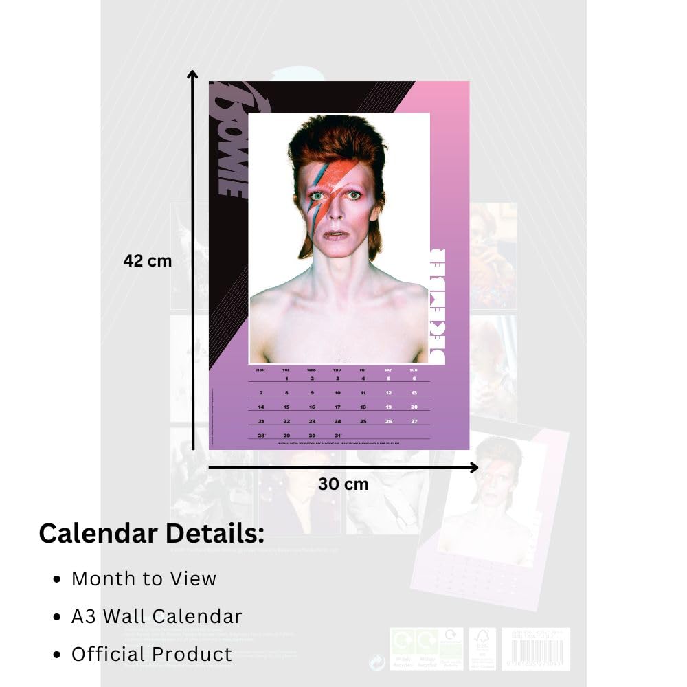 David Bowie A3 Calendar 2026: 5 - Calendars By David Bowie