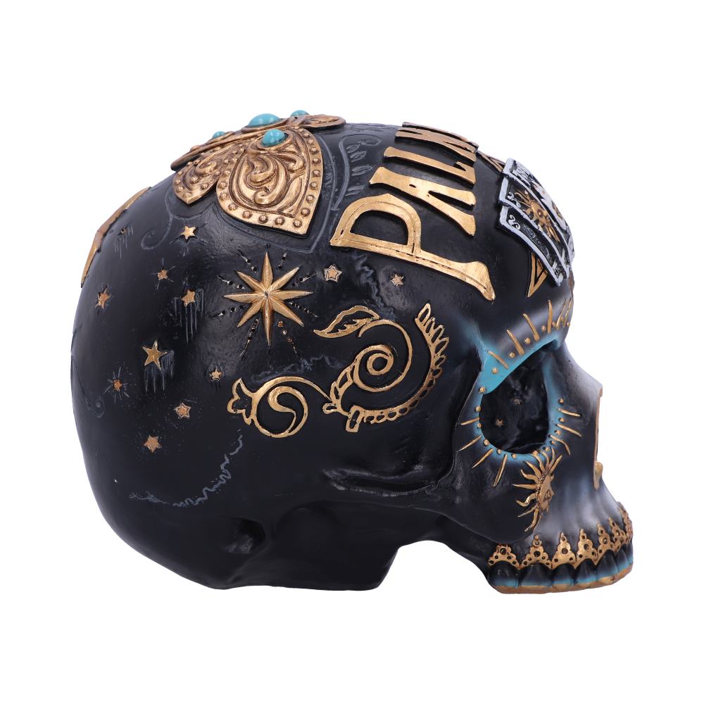 Destiny Palmistry Skull 18cm: 5 - Figures & Collectables By NN Designs