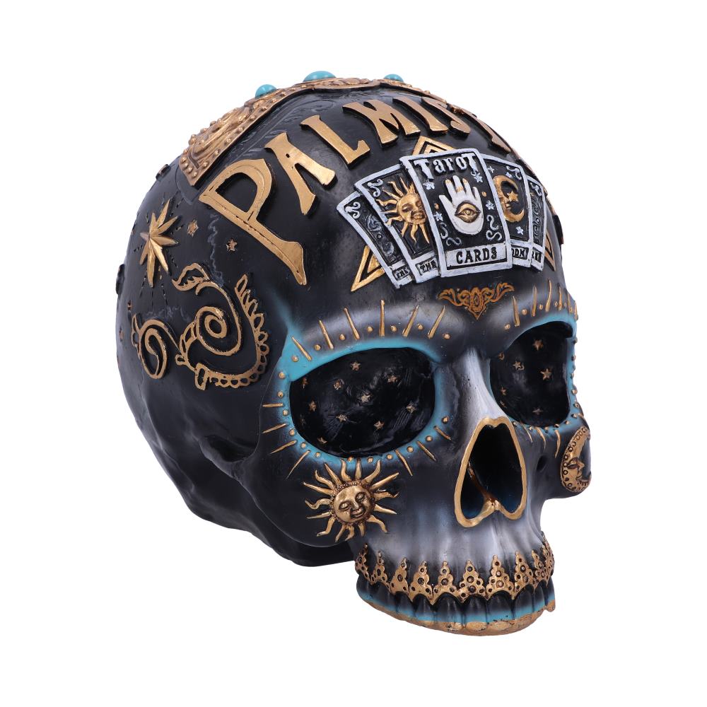 Destiny Palmistry Skull 18cm: 2 - Figures & Collectables By NN Designs