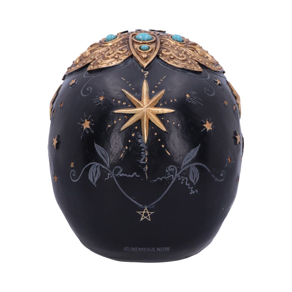 Destiny Palmistry Skull 18cm: 4 - Figures & Collectables By NN Designs