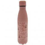 Disney Princess Thermal Flask: 2 - Water Bottles By Disney Princess