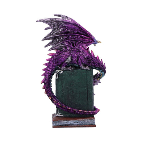 Dragon Fable Purple Dragon on Book Figurine 24cm: 4 - Figures & Collectables By Gift Moments