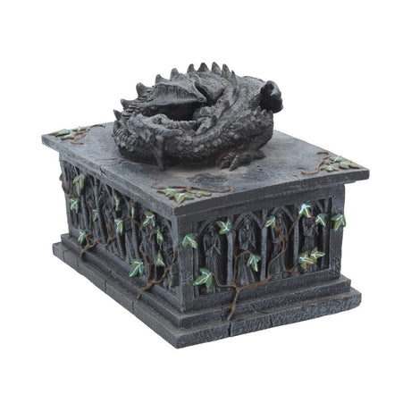 Dragon Ivy Tarot Card Holder Box: 3 - Boxes By NN Designs
