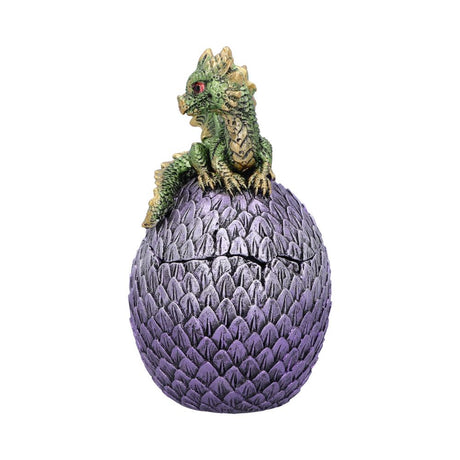 Dragonling Perch Box Metallic Green Dragon Box 14cm: 3 - Boxes By Gift Moments