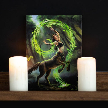 Earth Element Sorceress Canvas Plaque by Anne Stokes: 1 - Wall Art By Gift Moments