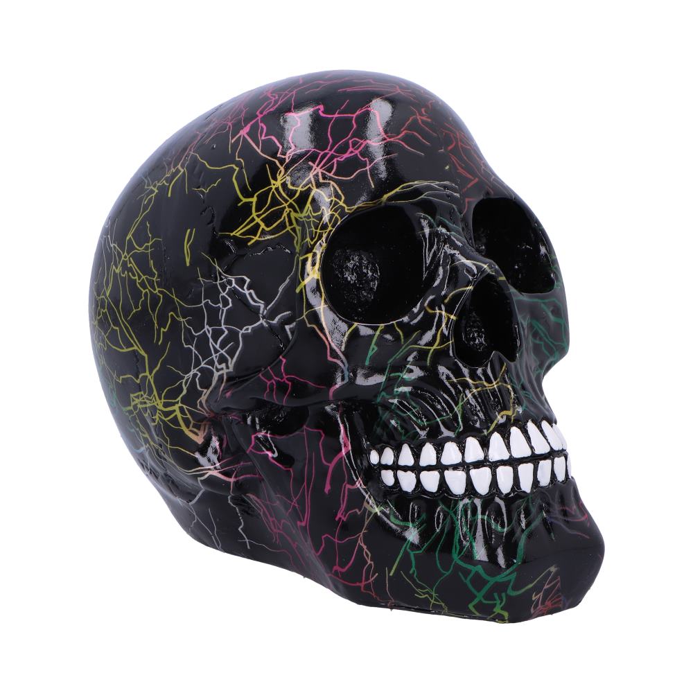 Electro Decorative Resin Skull: 2 - Figurines Medium (15-29cm) By Gift Moments