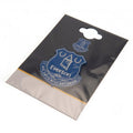 Everton FC 3D Fridge Magnet - Shop At Gift Moments - 1