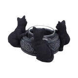 Familiar Trio Cat Tea Light Holder 10cm: 4 - Candles & Holders By Gift Moments