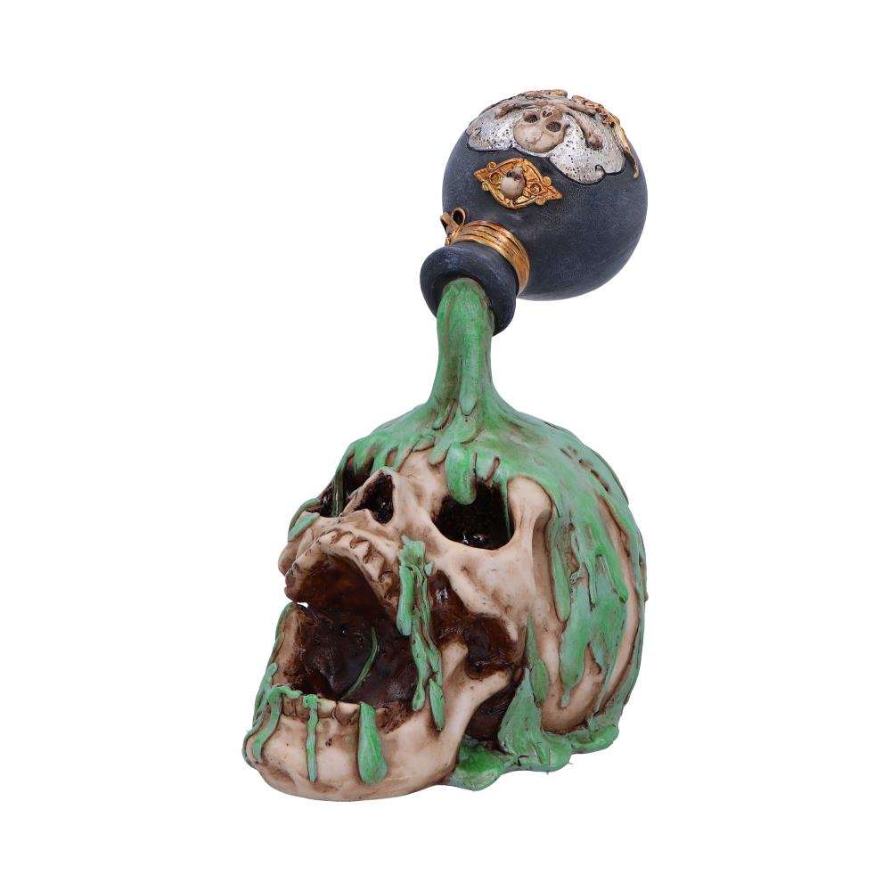 Fatal Elixer Skull Ornament: 2 - Figures & Collectables By Gift Moments
