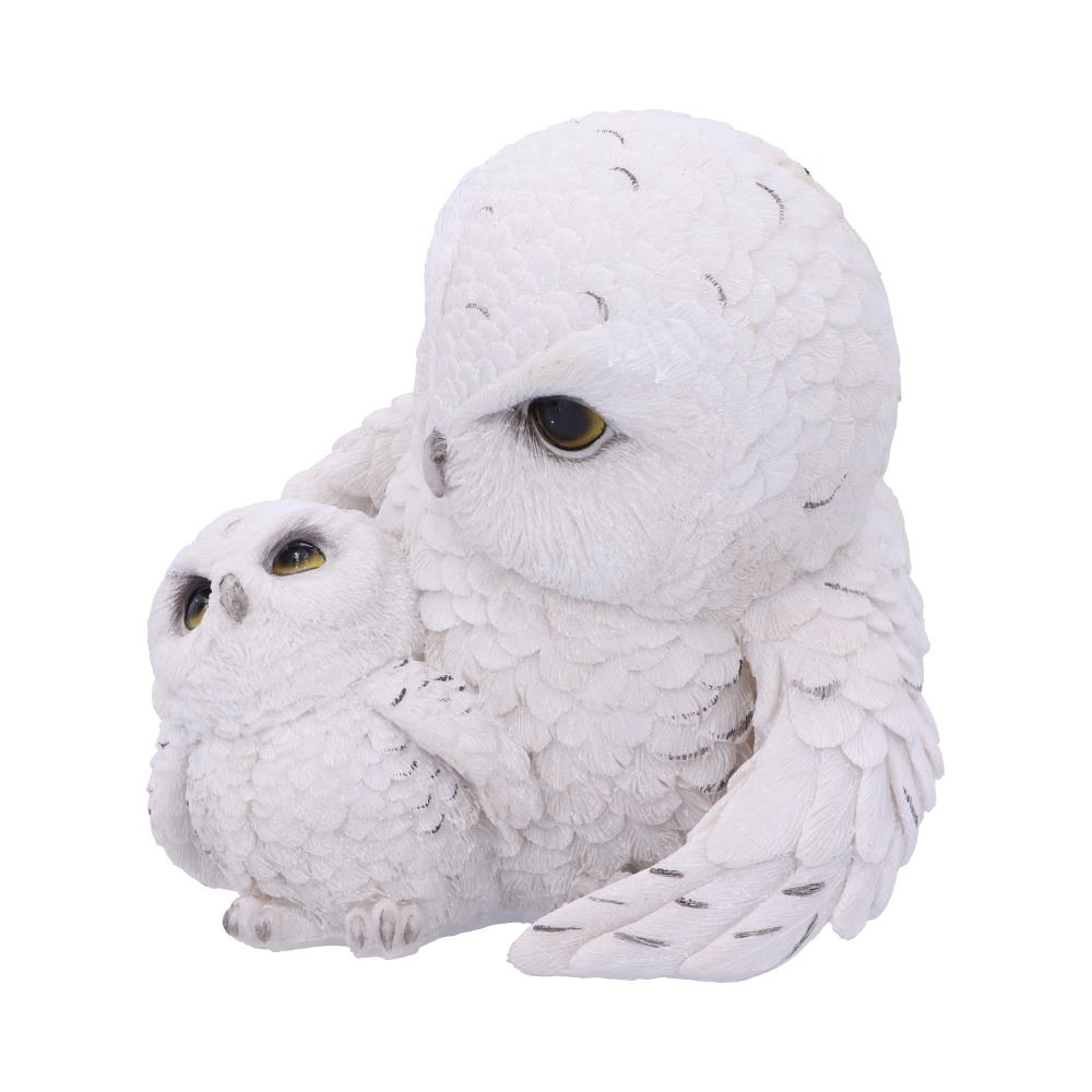 Feathered Guide Owl Figurine 13.5cm: 3 - Figures & Collectables By Gift Moments
