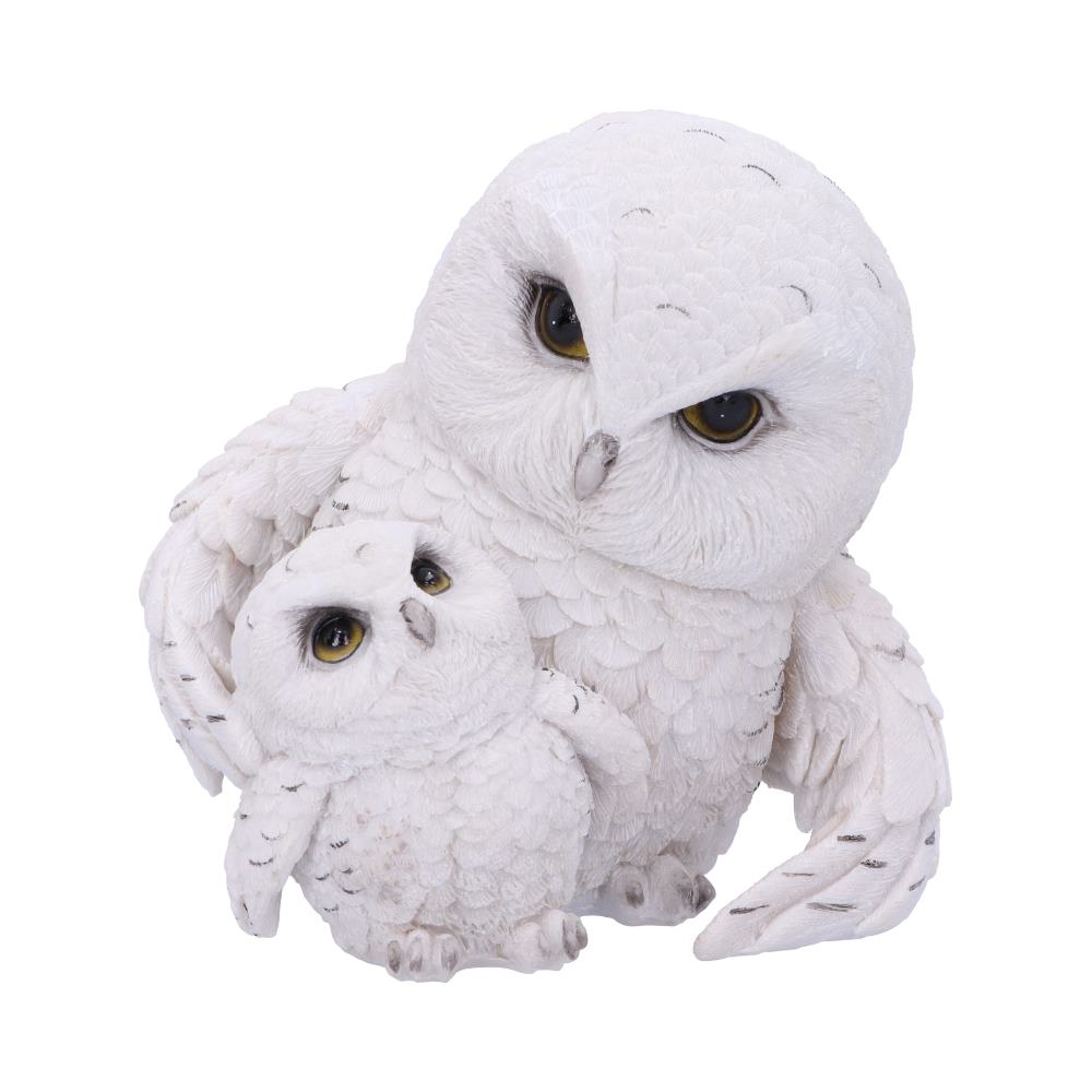 Feathered Guide Owl Figurine 13.5cm: 2 - Figures & Collectables By Gift Moments