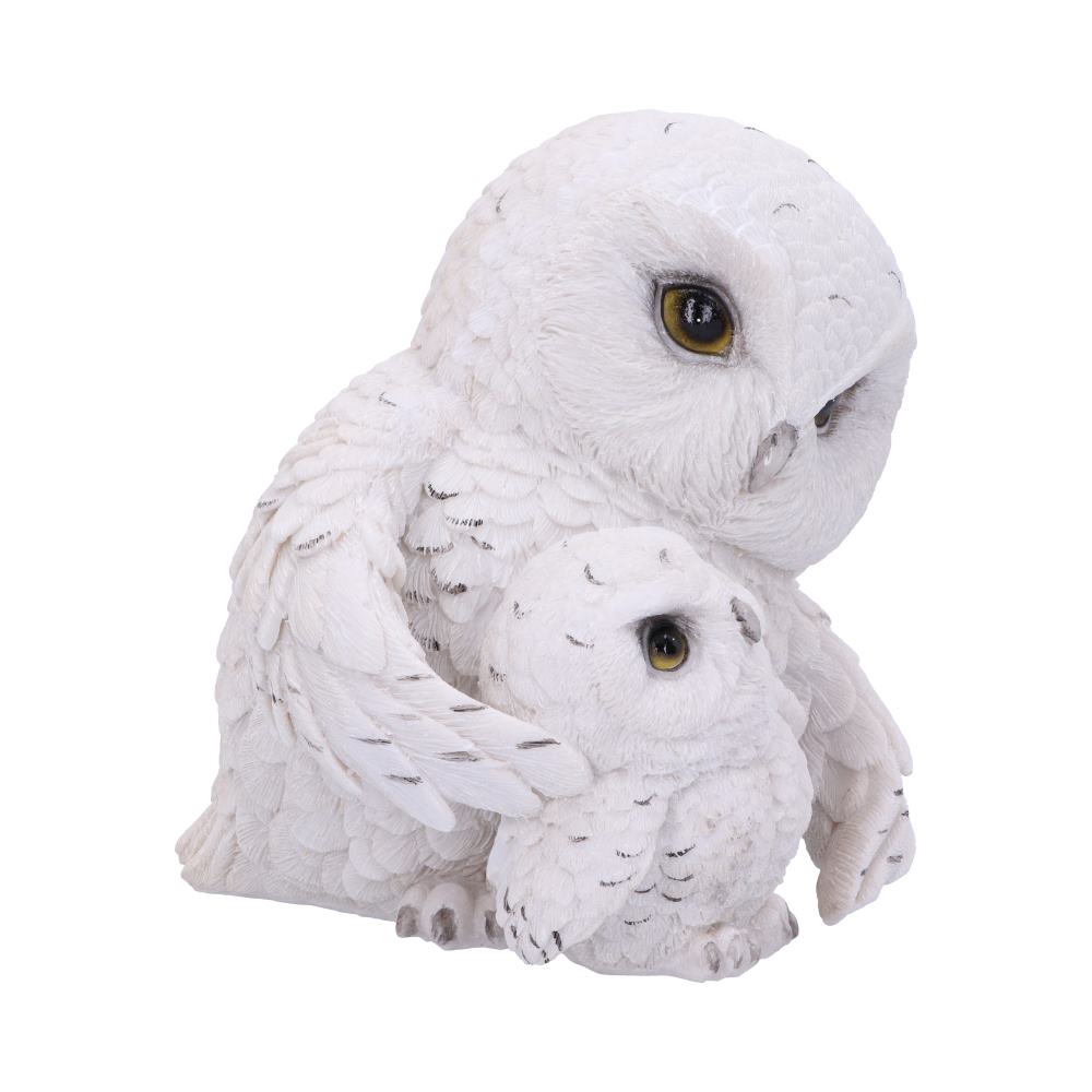 Feathered Guide Owl Figurine 13.5cm: 4 - Figures & Collectables By Gift Moments