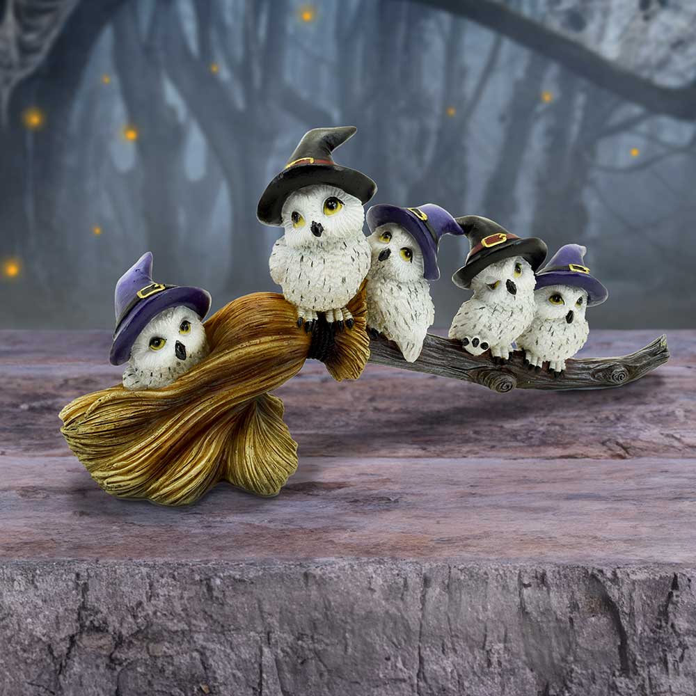 Feathered Owls on Broomstick Figurine 26cm - Shop Figures & Collectables At Gift Moments - 1
