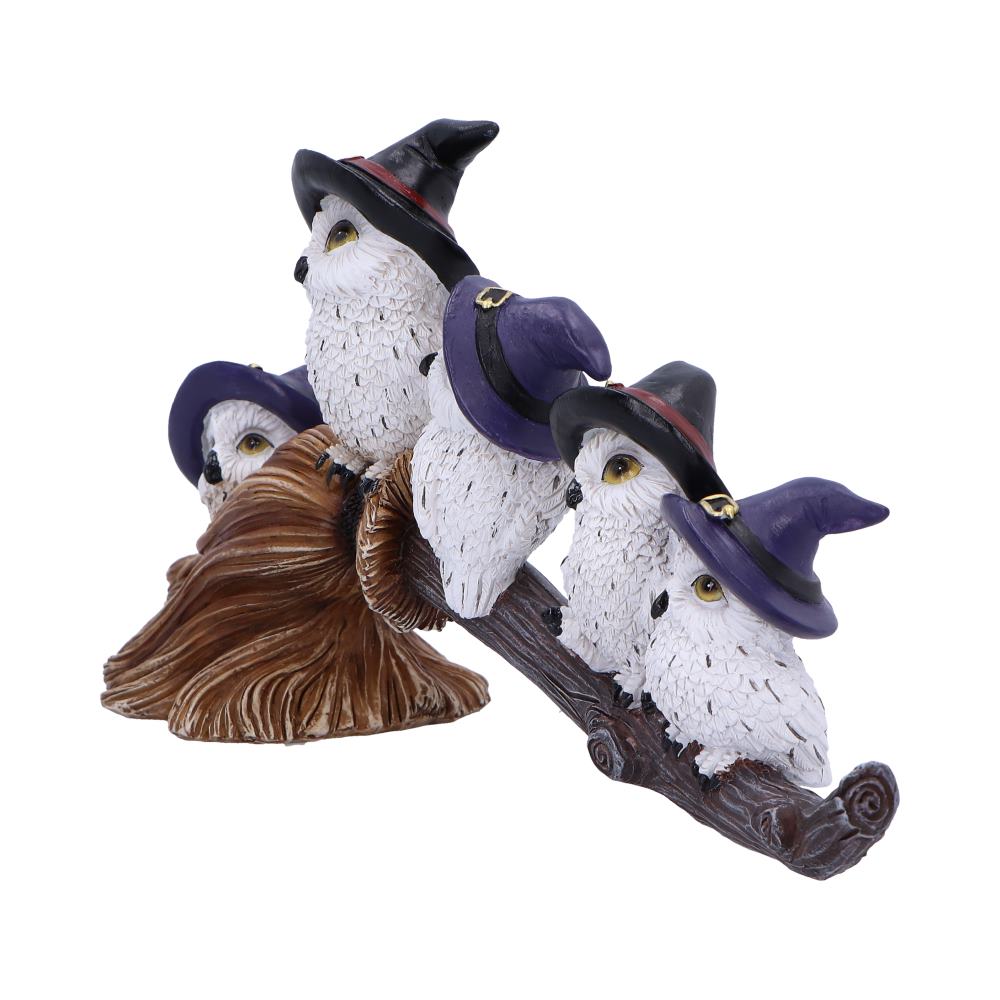 Feathered Owls on Broomstick Figurine 26cm - Shop Figures & Collectables At Gift Moments - 3