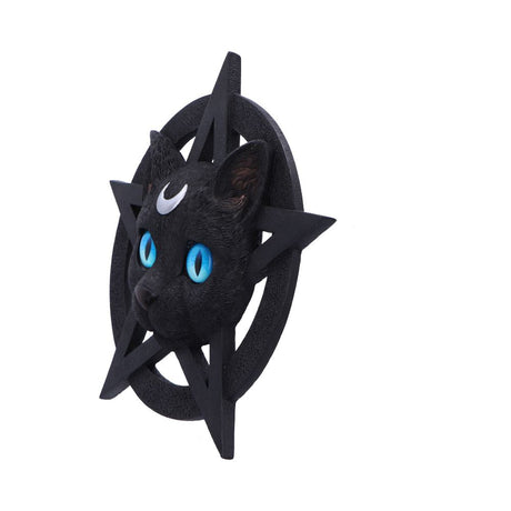Feline Worship Cat Pentagram Wall Plaque 25.5cm: 3 - Wall Hanging Sculptures By Gift Moments