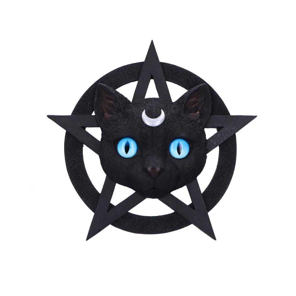 Feline Worship Cat Pentagram Wall Plaque 25.5cm: 2 - Wall Hanging Sculptures By Gift Moments