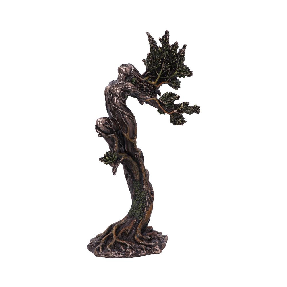 The Forest Nymph Elemental Figurine 25cm - Shop Figurines Medium (15-29cm) At Gift Moments - 5