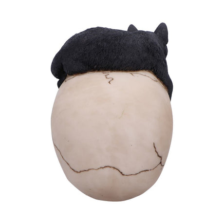 Forever Friend Black Cat Skull Head 14.5cm: 4 - Figures & Collectables By Gift Moments