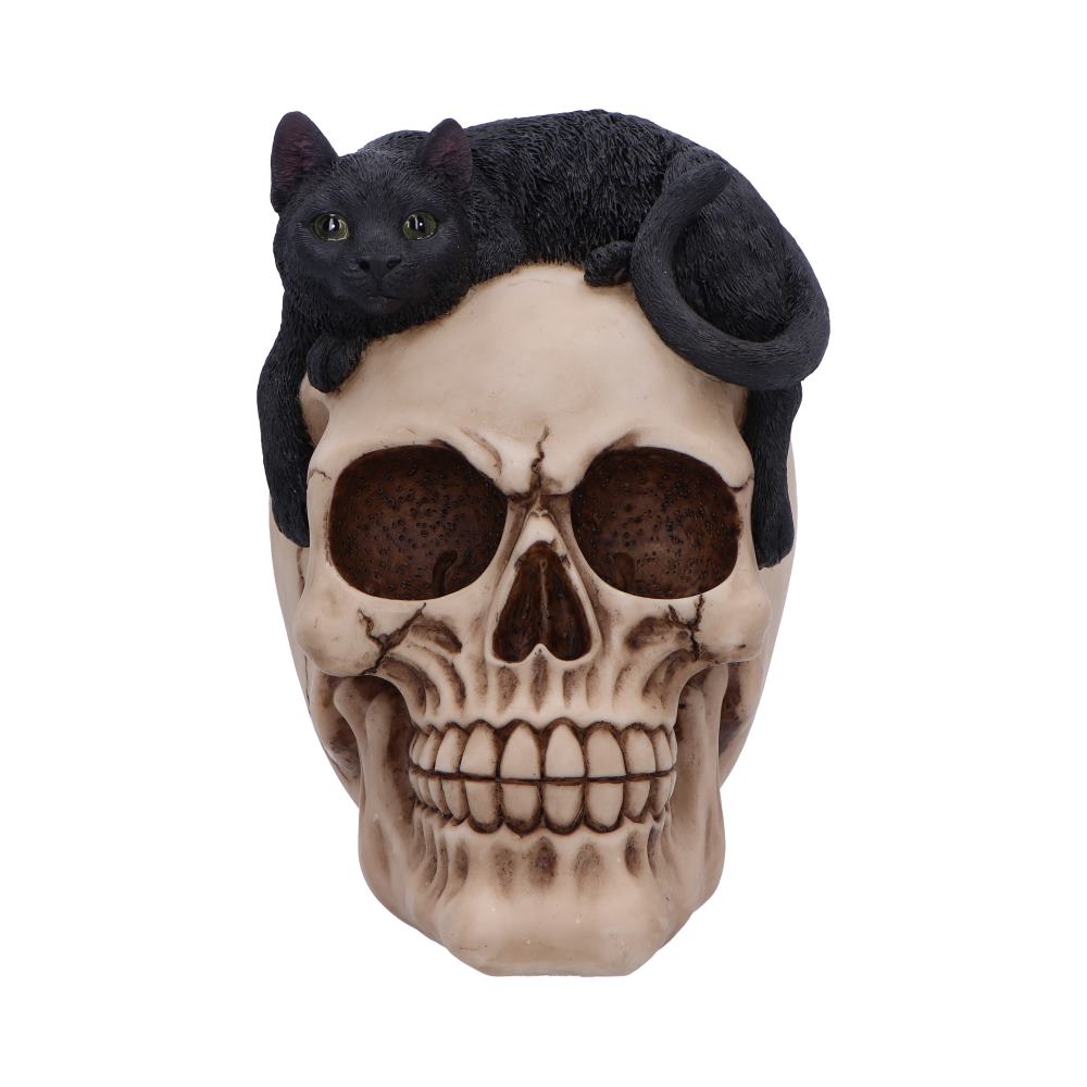 Forever Friend Black Cat Skull Head 14.5cm: 3 - Figures & Collectables By Gift Moments