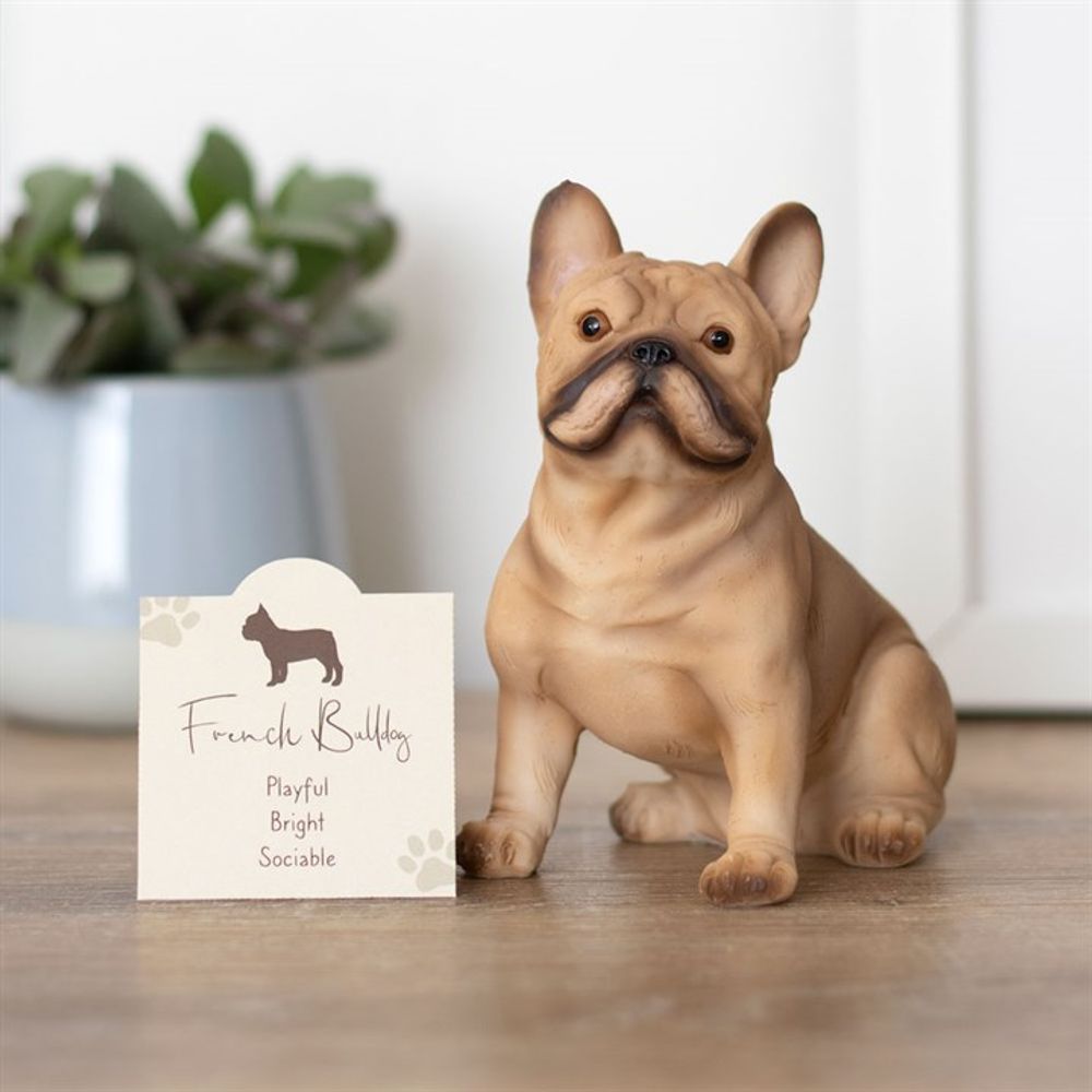 French Bull Dog Ornament: 1 - Ornaments By Gift Moments