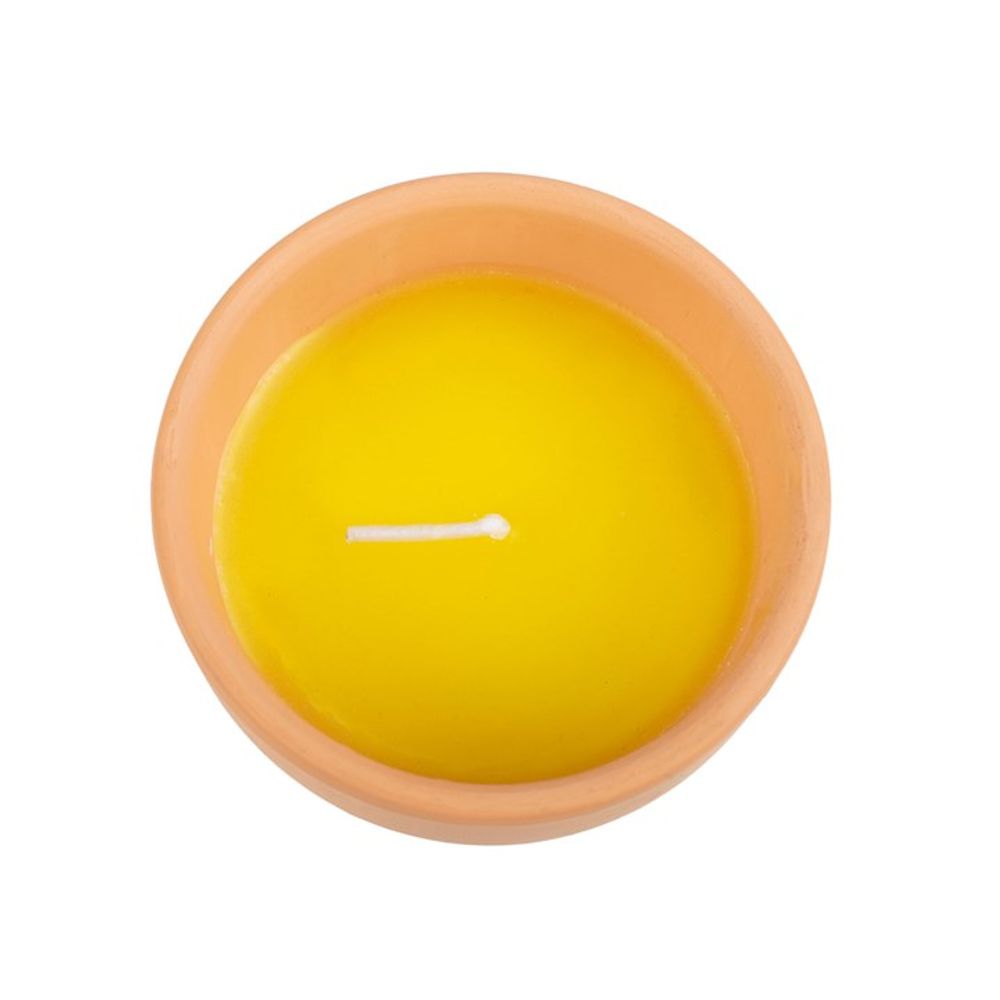 Gardener of the Year Citronella Candle: 3 - Candles By Gift Moments