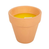 Gardener of the Year Citronella Candle: 4 - Candles By Gift Moments