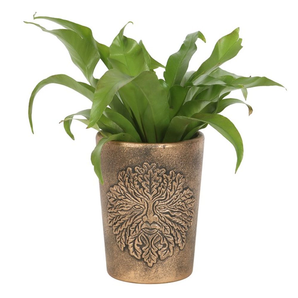 Green Man Bronze Terracotta Plant Pot by Lisa Parker: 2 - Pots & Planters By Gift Moments