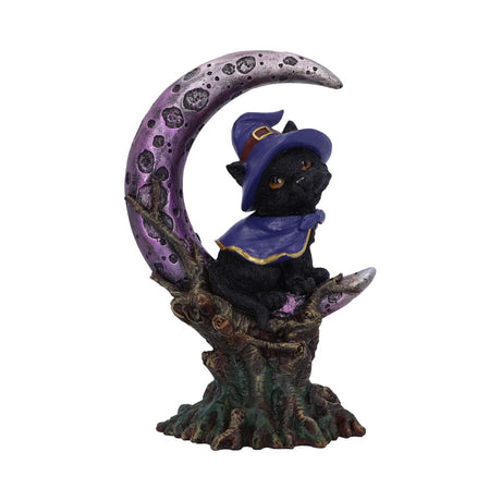 Grimalkin Witches Familiar Black Cat and Crescent Moon Figurine: 2 - Figures & Collectables By Gift Moments