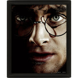 Harry Potter Framed 3D Picture - Shop Wall Art At Gift Moments - 2