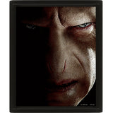 Harry Potter Framed 3D Picture - Shop Wall Art At Gift Moments - 3