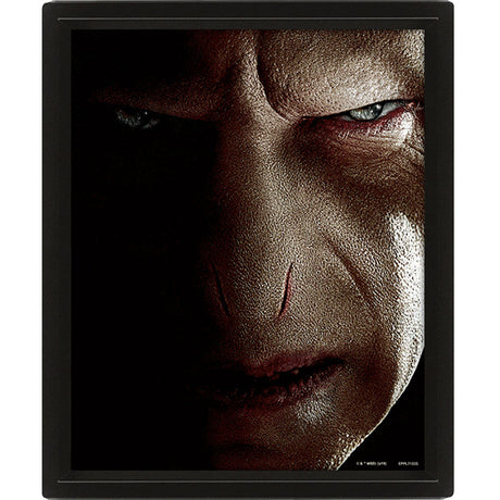 Harry Potter Framed 3D Picture - Shop Wall Art At Gift Moments - 3