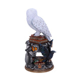 Harry Potter Hedwig Owl Figurine: 4 - Figures & Collectables By Harry Potter