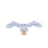 Harry Potter Hedwig Owl Wall Plaque: 2 - Signs & Plaques By Harry Potter