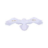 Harry Potter Hedwig Owl Wall Plaque: 4 - Signs & Plaques By Harry Potter