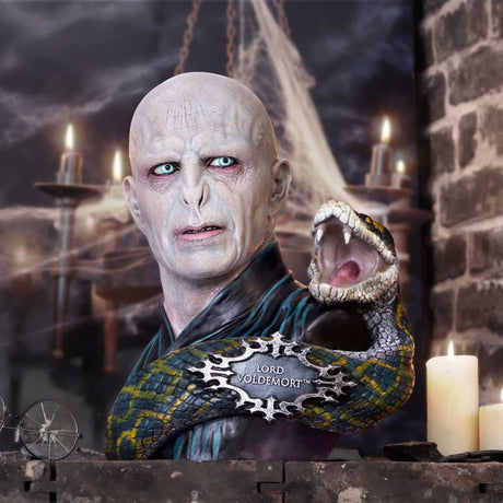 Harry Potter Lord Voldemort Bust: 1 - Figures & Collectables By Harry Potter