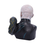 Harry Potter Lord Voldemort Bust: 4 - Figures & Collectables By Harry Potter