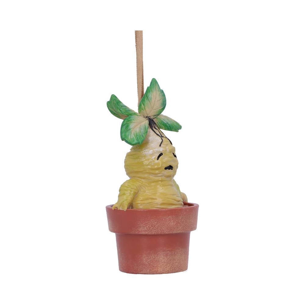 Harry Potter Mandrake Plant Hanging Festive Ornament: 5 - Hanging Decorations By Harry Potter
