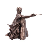 Harry Potter Voldemort Duel Bronze Figurine: 5 Figures & Collectables By Harry Potter