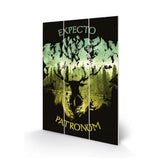 Harry Potter Expecto Patronum Wood Print - Shop Wall Art At Gift Moments - 1