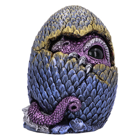 Hidden Hatchling Dragon Ornament: 2 - Figures & Collectables By Gift Moments